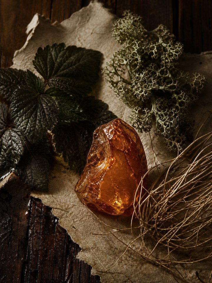 Vetiver 노트 이미지