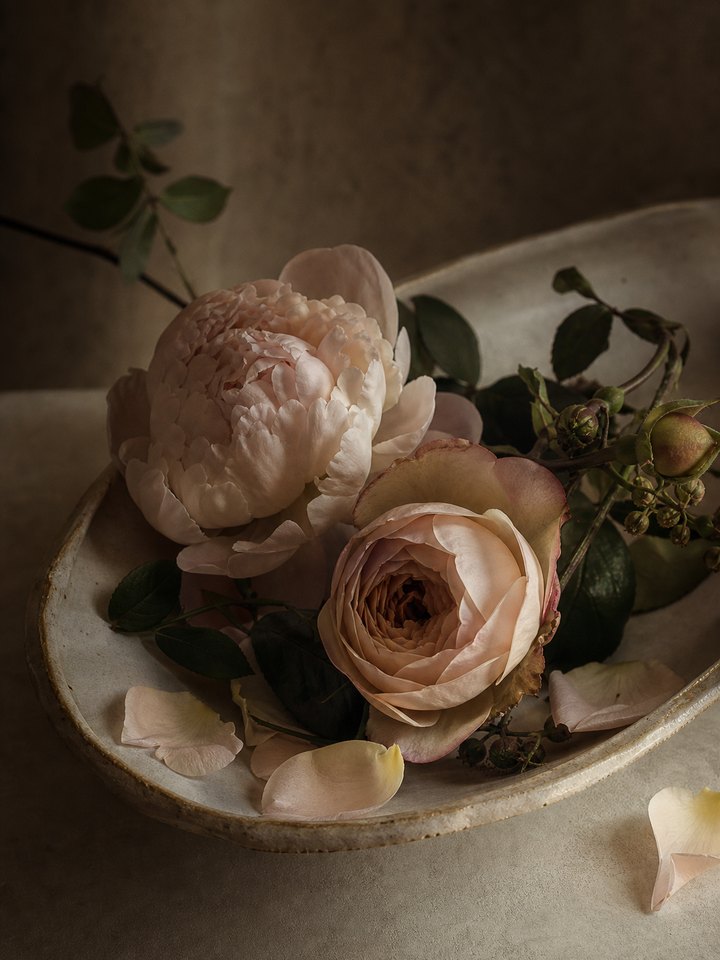 Rose 노트 이미지